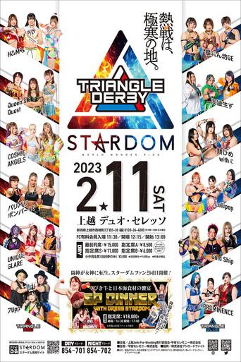 Stardom Triangle Derby I in Joetsu (2023) poster