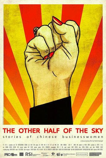 The Other Half Of The Sky - Stories of Chinese Businesswomen (2016) poster