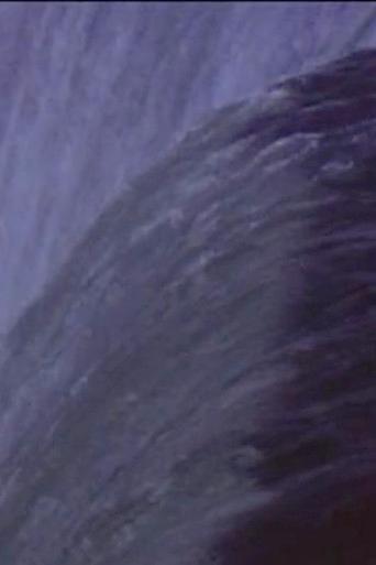 Five Year Diary, Reel 31: Niagara Falls (August 19–28, 1983) (1983) poster