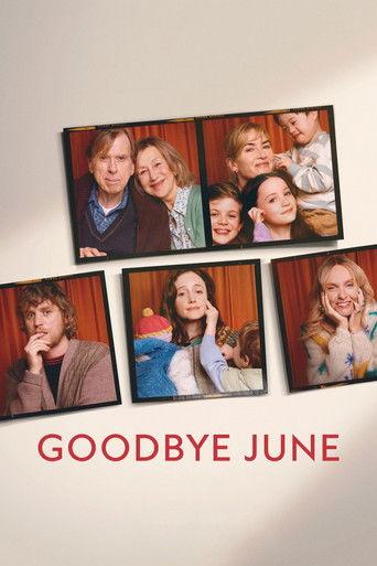 Goodbye June (2025) poster