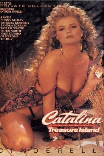 Catalina Five-0: Treasure Island (1990) poster