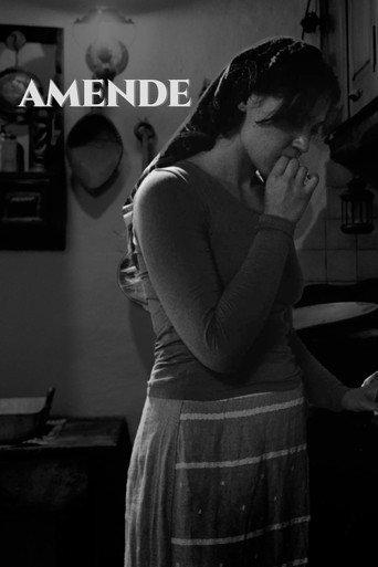 AMENDE () poster