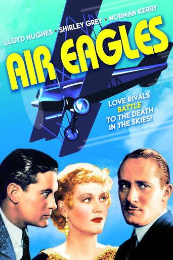 Air Eagles (1931) poster