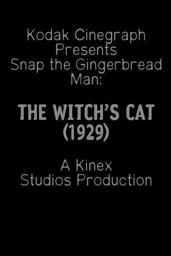 The Witch's Cat (1929) poster
