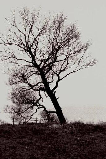 The Harrowed Coast (1992) poster