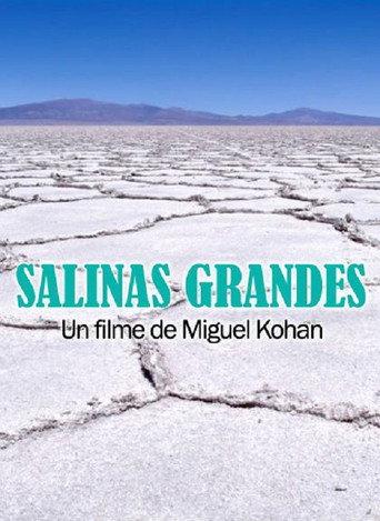 Salinas grandes (2014) poster