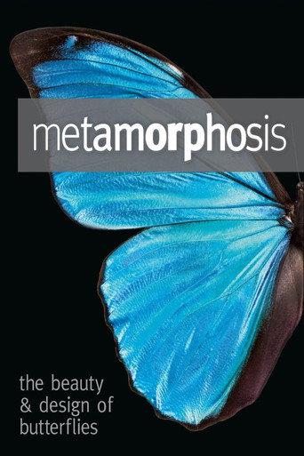Metamorphosis: The Design and Beauty of Butterflies (2011) poster