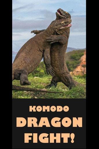 Komodo Dragon Fight! (2017) poster