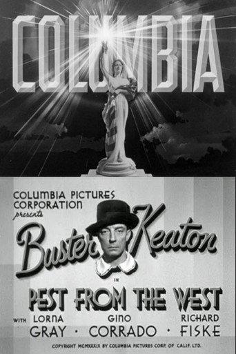 Pest from the West (1939) poster