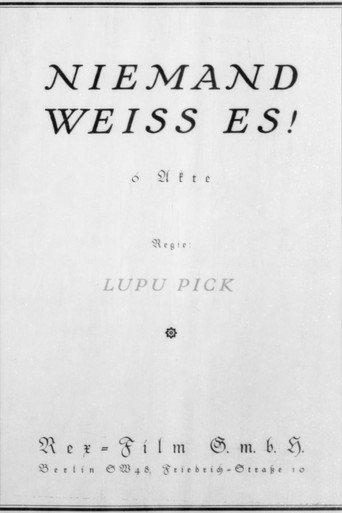 Niemand weiß es (1920) poster