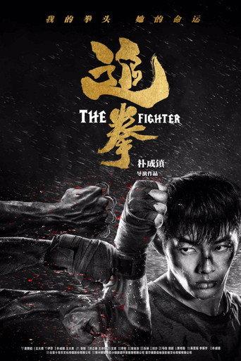 The Fighter (2019) poster