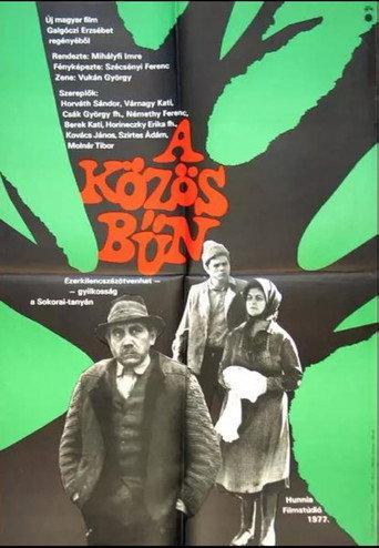 A közös bűn () poster