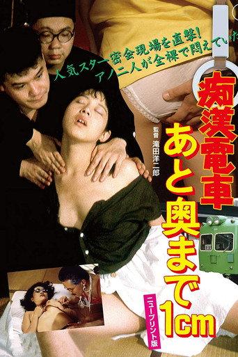 Molester's Train: 1 Centimeter From The Wall (1985) poster