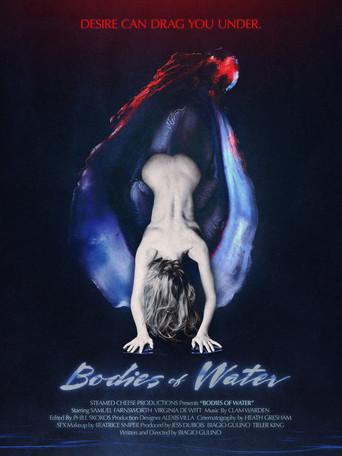 Bodies of Water () poster