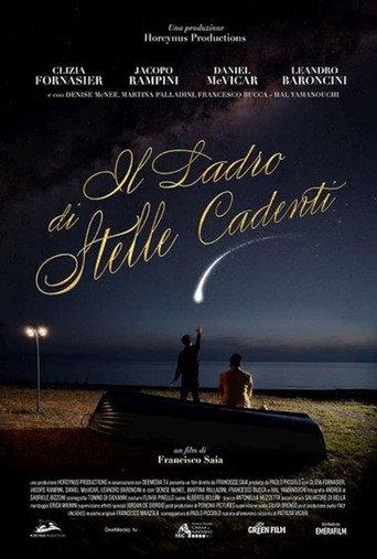 Il ladro di stelle cadenti () poster