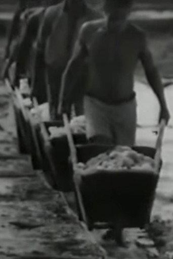 Salt (1965) poster