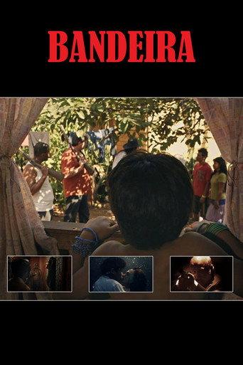 Four-Colored Banner (2016) poster