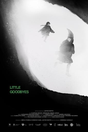 Little Goodbyes (2025) poster