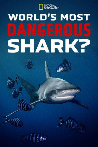 World's Most Dangerous Shark? (2021) poster