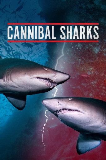 Cannibal Sharks (2019) poster