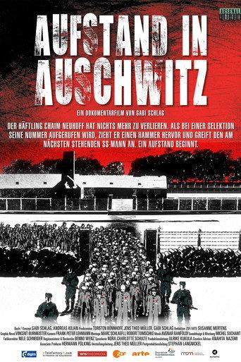 Aufstand in Auschwitz (2026) poster