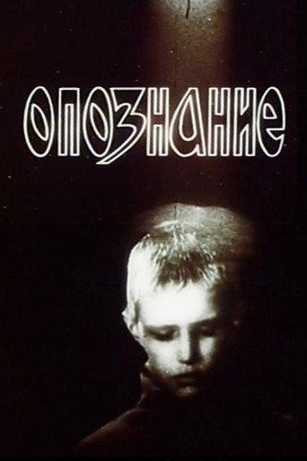 Identification (1991) poster