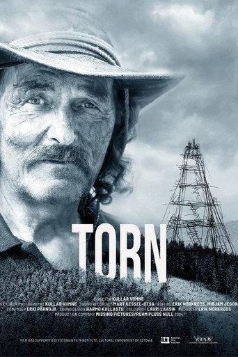 Torn (2025) poster
