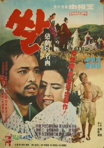 Rice (1963) poster