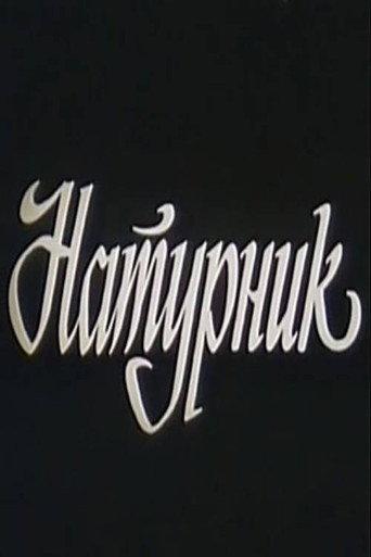 Model (1992) poster