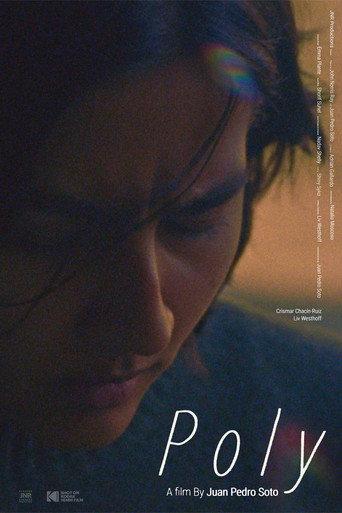 Poly () poster