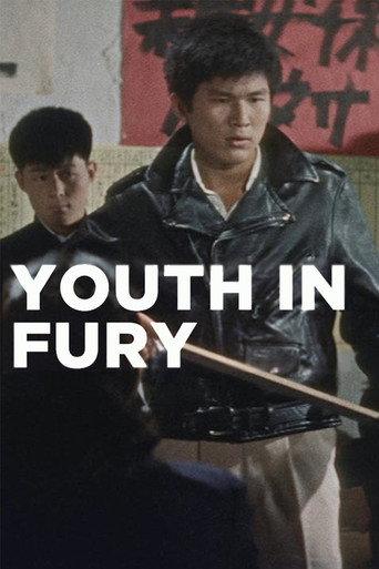 Youth in Fury (1960) poster
