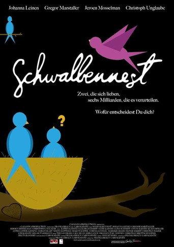Schwalbennest (2011) poster