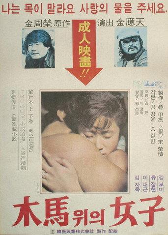 The Woman On The Ferris Wheel (1979) poster