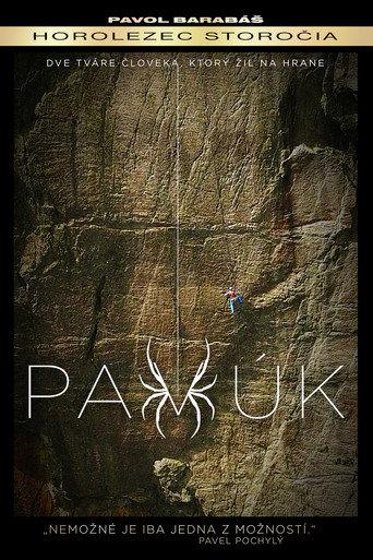 Pavúk (2018) poster