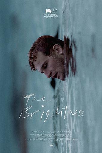 The Brightness () poster