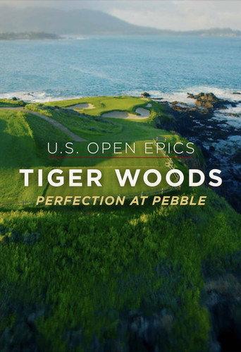 Perfection at Pebble (2019) poster