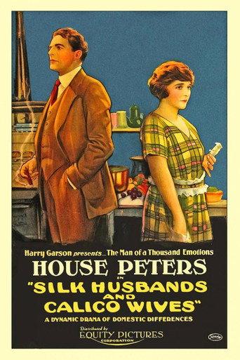Silk Husbands and Calico Wives (1920) poster