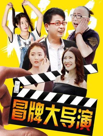 冒牌大导演 (2017) poster