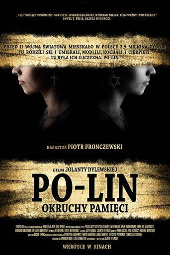 Po-lin. Shards of Memory (2008) poster