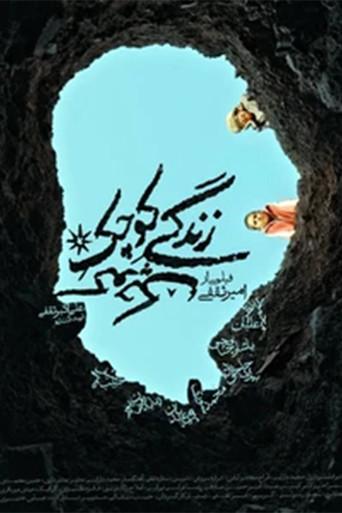 Little Little Life (2026) poster