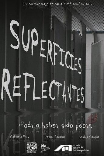 Reflective Surfaces (2025) poster