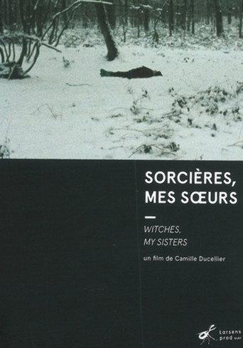 Witches, My Sisters (2010) poster