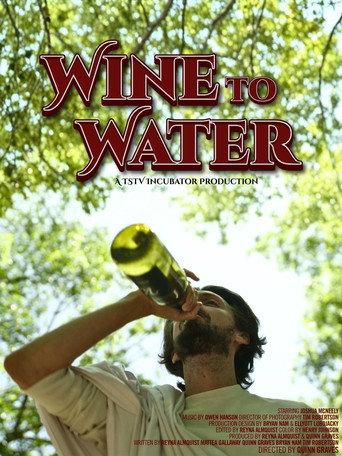 Wine to Water () poster