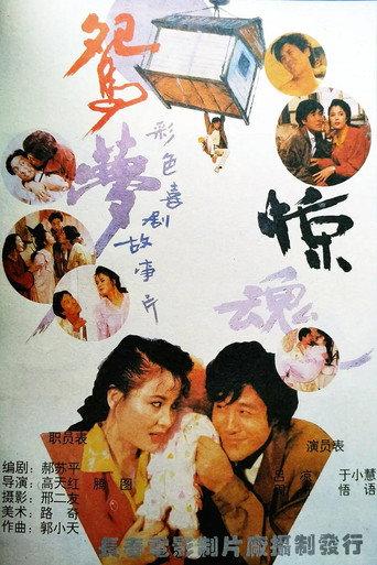 鸳梦惊魂 (1993) poster