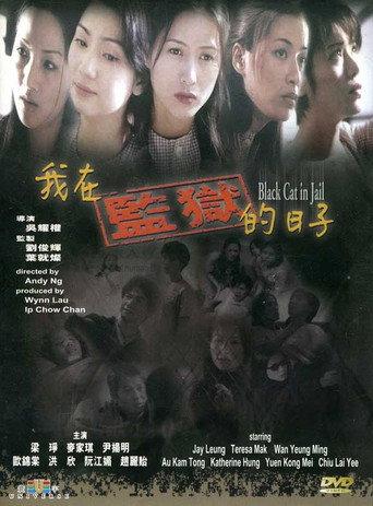 Black Cat in Jail (2000) poster