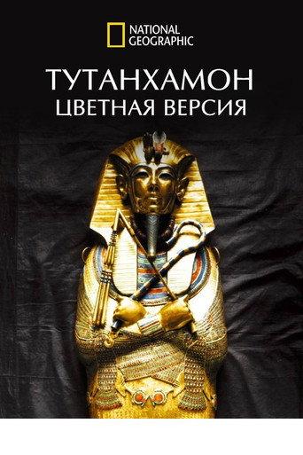 King Tut In Colour (Tutankhamun in Colour) (2020) poster