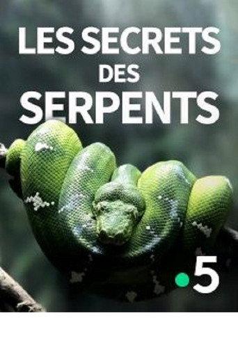 The Secrets of the Snakes (2016) poster