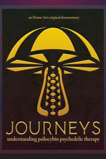 Journeys (2026) poster