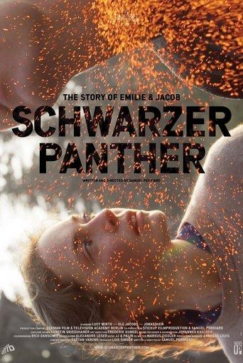 Black Panther (2013) poster