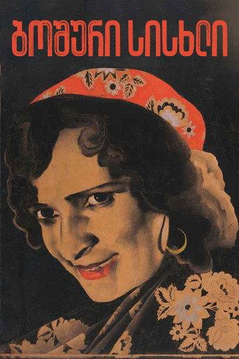 Gypsy Blood (1928) poster